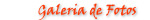 Galeria Fotogr&aacute;fica do Palha&ccedil;o Croquete